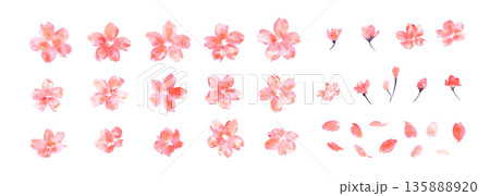 桜イラスト。水彩画で描いた桜の春背景。桜のベクターイラスト。春の桜フレーム。 135888920