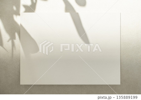 Elegant Plant Shadow Card Mockup Elegant Plant Shadow Card Mockup 135889199
