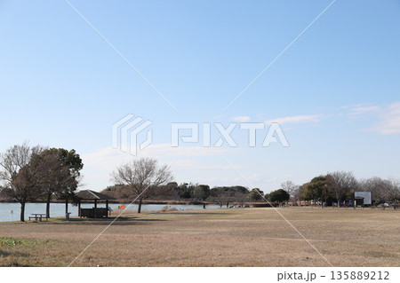 冬晴れの 加古大池公園 多目的広場(兵庫県 稲美町) 冬晴れの 加古大池公園 多目的広場(兵庫県 稲美町) 135889212