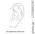 耳の線画　ベクター 135889295