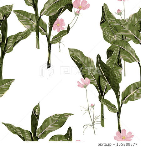 Floral seamless pattern, pink cosmos flowers and dumbcane on white 135889577