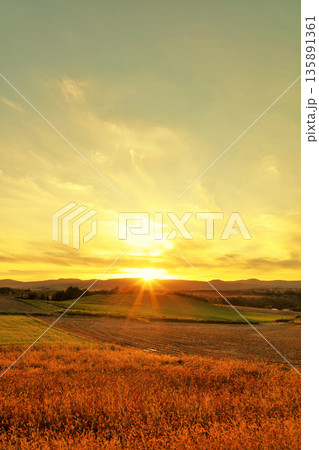 北海道　秋の夕暮れ　美瑛の丘 135891361