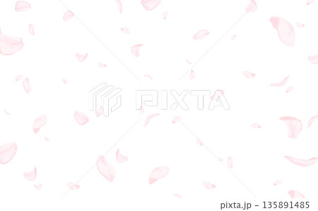 桜_手描き_桜吹雪_背景なし_横 桜_手描き_桜吹雪_背景なし_横 135891485