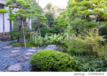小泉八雲旧居の庭 135892043