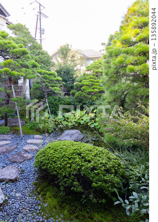 小泉八雲旧居の庭 135892044