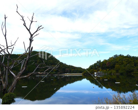 千代田湖の風景 千代田湖の風景 135892224