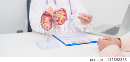 Elderly Patient consultation with doctor for Kidney disease, Urinary system and Stones, Cancer, world kidney day, Chronic kidney, Urology, Nephritis, Renal, Transplant and medical healthcare concept Elderly Patient consultation with doctor for Kidney disease, Urinary system and Stones, Cancer, world kidney day, Chronic kidney, Urology, Nephritis, Renal, Transplant and medical healthcare concept 135892238