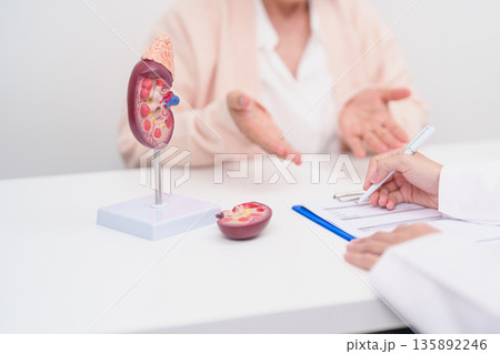 Elderly Patient consultation with doctor for Kidney disease, Urinary system and Stones, Cancer, world kidney day, Chronic kidney, Urology, Nephritis, Renal, Transplant and medical healthcare concept Elderly Patient consultation with doctor for Kidney disease, Urinary system and Stones, Cancer, world kidney day, Chronic kidney, Urology, Nephritis, Renal, Transplant and medical healthcare concept 135892246