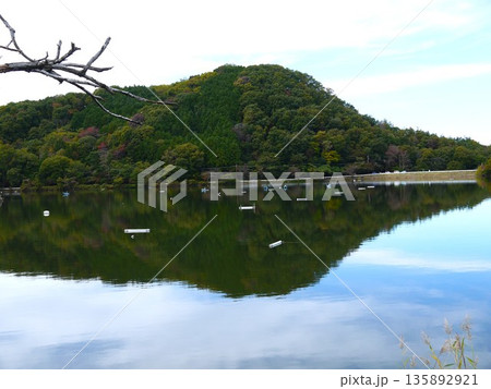 水面に映る紅葉 135892921