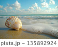 Beautiful seashell resting on sandy beach at sunny day near ocean 135892924