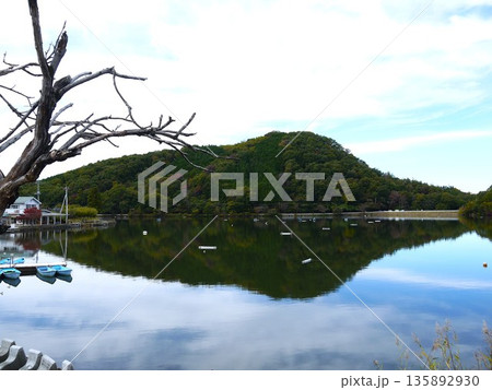 静かな湖畔 静かな湖畔 135892930