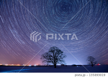 ハルニレの木と星の光跡 135893019
