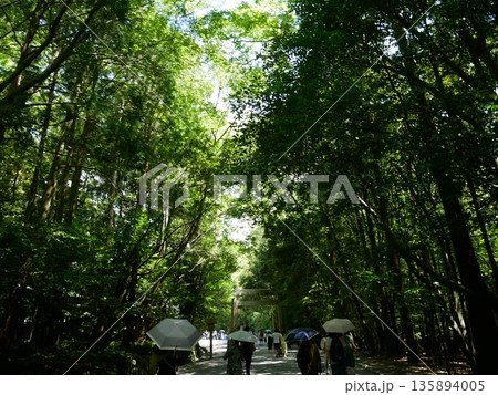 伊勢神宮の参道を歩く人々 伊勢神宮の参道を歩く人々 135894005