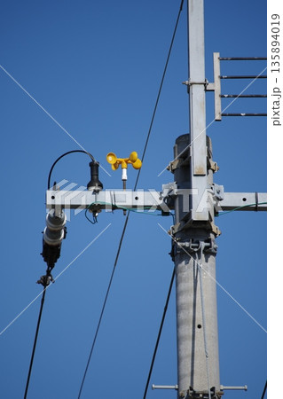 黄色のカラス避け 135894019