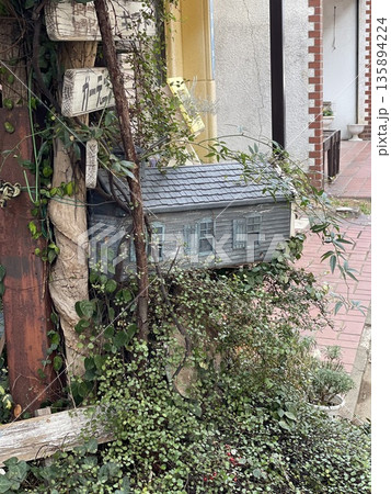 街角の植物に包まれたオブジェ 街角の植物に包まれたオブジェ 135894224