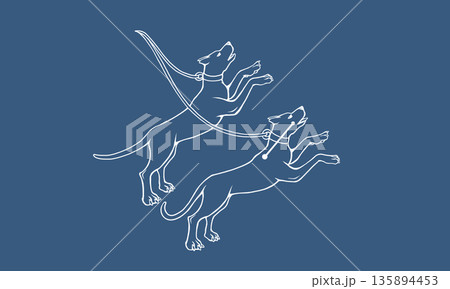 ネイビー色の背景に浮かぶりょうけん座のイラスト（白線で猟犬の絵と星座線） 135894453