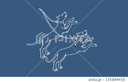 ネイビー色の背景に浮かぶりょうけん座のイラスト（白線の猟犬の絵とゴールド色の星座線） 135894458