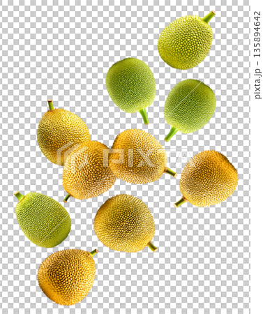 Whole ripe and unripe jackfruits scattered and isolated on white background, healthy food concept Whole ripe and unripe jackfruits scattered and isolated on white background, healthy food concept 135894642