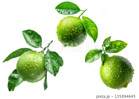 Juicy green limes with vibrant leaves covered in water droplets, isolated on white background, concept of freshness and citrus Juicy green limes with vibrant leaves covered in water droplets, isolated on white background, concept of freshness and citrus 135894645
