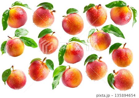 Juicy red-yellow plums and nectarines with dew drops and green leaves, isolated on white background, freshness and summer fruit 135894654