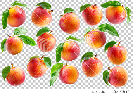Juicy red-yellow plums and nectarines with dew drops and green leaves, isolated on white background, freshness and summer fruit 135894654
