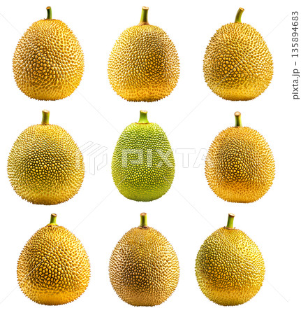 Set of ripe green jackfruit with textured skin and stem, isolated on white transparent background Set of ripe green jackfruit with textured skin and stem, isolated on white transparent background 135894683