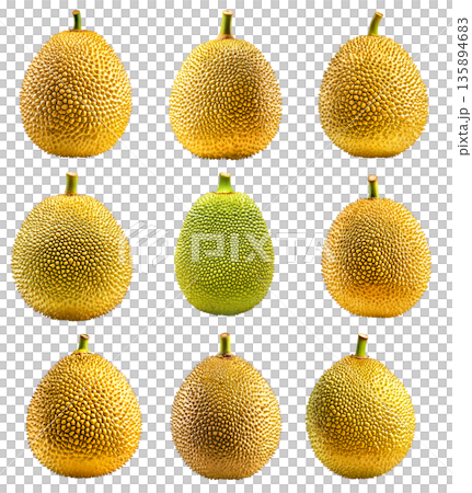 Set of ripe green jackfruit with textured skin and stem, isolated on white transparent background Set of ripe green jackfruit with textured skin and stem, isolated on white transparent background 135894683