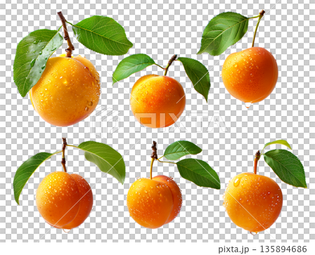 Set of ripe apricot with dew drops and leaves isolated on white background Set of ripe apricot with dew drops and leaves isolated on white background 135894686