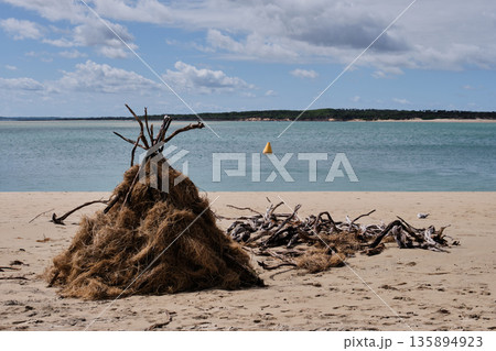 Driftwood shelter - Inverloch 135894923