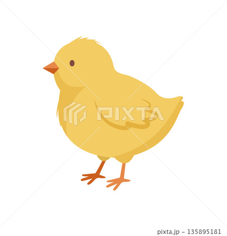 Cute yellow baby chick. Little Easter chicken vector illustration Cute yellow baby chick. Little Easter chicken vector illustration 135895181