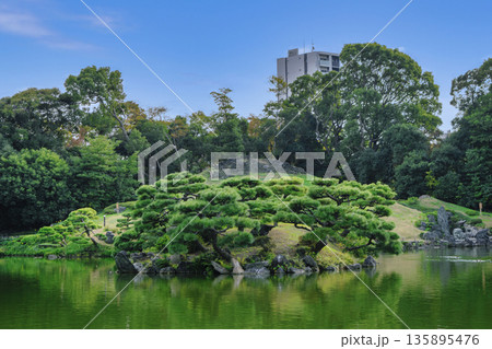 東京都　江東区　清澄庭園　大泉水と富士山　秋の風景　都措定名勝 135895476