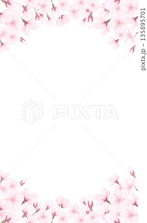 手描きの桜の上下フレーム_縦 135895701