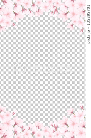 手描きの桜の上下フレーム_縦 135895701