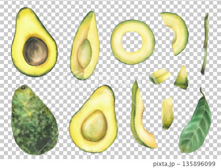 Avocado set with whole fruit, halves, rings, slices and leaves, hand drawn in watercolor on isolated white background. Realistic illustration for food design, healthy lifestyle concepts, menu, recipes Avocado set with whole fruit, halves, rings, slices and leaves, hand drawn in watercolor on isolated white background. Realistic illustration for food design, healthy lifestyle concepts, menu, recipes 135896099