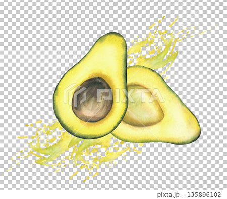 Two halves of a ripe avocado fruit with seed on splash spot juicy watercolor yellow green background. Hand drawn illustration isolated for healthy food, cosmetic, product design label, packaging, menu 135896102