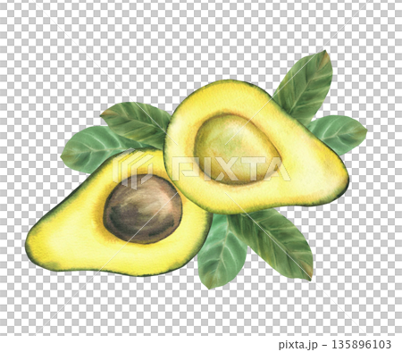 Avocado whole fruit, half and green leaves. Hand draw watercolor illustration for healthy food label. Botanical composition of vegan vegetables for menu, packaging, recipe. Isolated from background Avocado whole fruit, half and green leaves. Hand draw watercolor illustration for healthy food label. Botanical composition of vegan vegetables for menu, packaging, recipe. Isolated from background 135896103