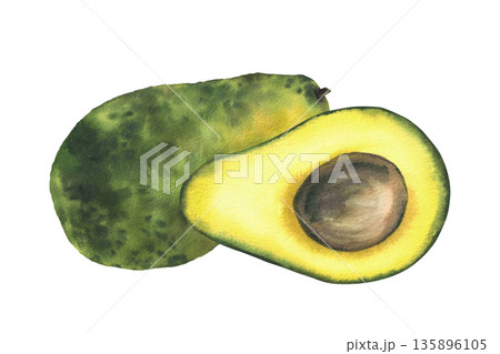Watercolor avocado on isolated white background. Whole and cut green fruit half with seed. Hand painted illustration for healthy food lifestyle concepts, packaging, menus, farm product label branding Watercolor avocado on isolated white background. Whole and cut green fruit half with seed. Hand painted illustration for healthy food lifestyle concepts, packaging, menus, farm product label branding 135896105