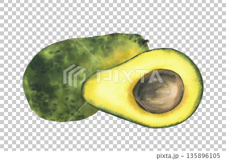 Watercolor avocado on isolated white background. Whole and cut green fruit half with seed. Hand painted illustration for healthy food lifestyle concepts, packaging, menus, farm product label branding Watercolor avocado on isolated white background. Whole and cut green fruit half with seed. Hand painted illustration for healthy food lifestyle concepts, packaging, menus, farm product label branding 135896105