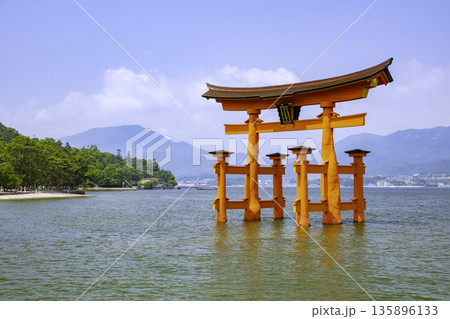 日本三景のひとつである嚴島神社の大鳥居（広島県廿日市市宮島町） 135896133