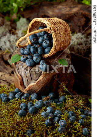 Small wicker basket filled with ripe blueberries. 135896168