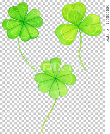 Hand-drawn watercolor clover illustration: Two four-leaf and one three-leaf clover, a lucky motif Hand-drawn watercolor clover illustration: Two four-leaf and one three-leaf clover, a lucky motif 135896686