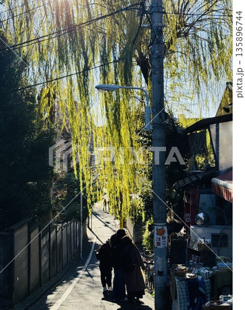 谷中 135896744