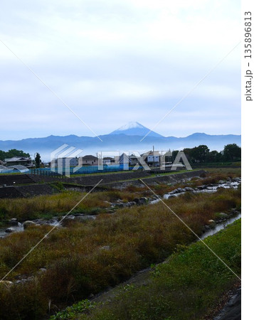 雲海に浮かぶ富士山 135896813