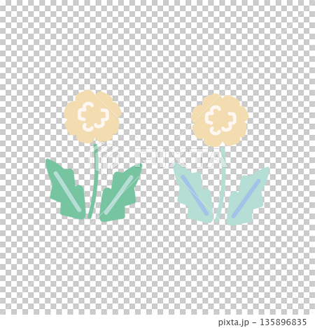 Spring dandelion illustration material Spring dandelion illustration material 135896835