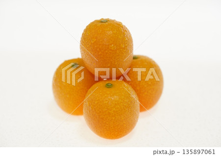 新鮮なきんかん　たまたま　宮崎県産　　　 135897061