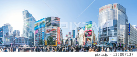 「東京都」渋谷スクランブル交差点の風景　パノラマ 135897137