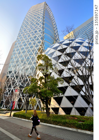 東京 新宿駅西口 モード学園コクーンタワー 東京 新宿駅西口 モード学園コクーンタワー 135897147