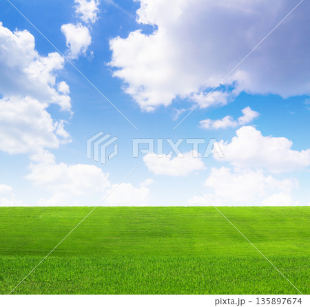 緑の草原と青空 135897674
