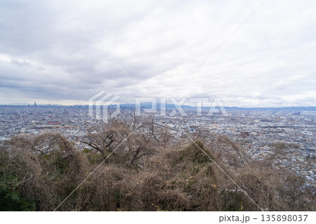 額田展望台から見た景色(生駒山地) 額田展望台から見た景色(生駒山地) 135898037