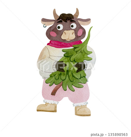 Cute bull with a Christmas tree on a white background Cute bull with a Christmas tree on a white background 135898563
